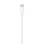 Apple кабель Type-C/Lightning 2м MKQ42ZM/A Apple кабель Type-C/Lightning 2м MKQ42ZM/A