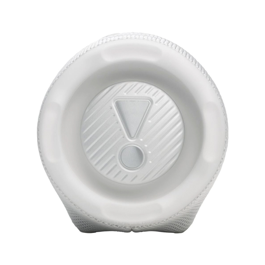 JBL портативная акустическая система Charge 6 (белый)