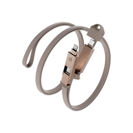 EnergEA кабель Type-C/Type-C (Lightning) Sheath 2 в 1 1м (золотой) CBL-60SHTH-GLD100