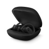 Beats наушники беспроводные Powerbeats Pro Wireless (чёрный) MY582