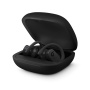 Beats наушники беспроводные Powerbeats Pro Wireless (чёрный) MY582