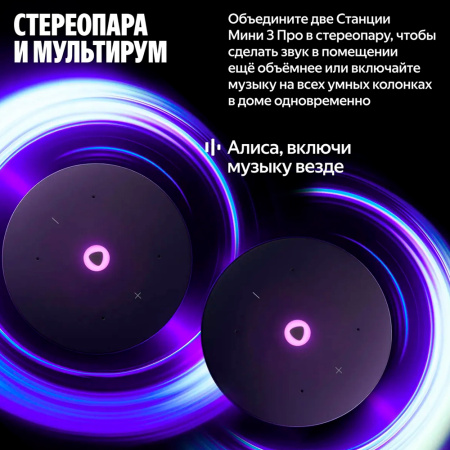 Yandex умная колонка с поддержкой ZigBee Яндекс.Станция Мини 3 Про (черный) YNDX-00059BLK