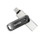 SanDisk флеш накопитель iXpand Flash Drive Go Lightning 256GB (черный) SDIX60N-256G-GN6NE
