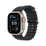 Apple Watch Ultra 3 49mm, натуральный, Ocean Band черный ремешок